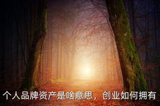 個人品牌資產(chǎn)是啥意思，創(chuàng)業(yè)如何擁有