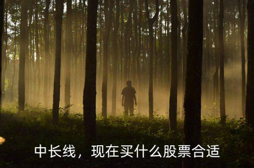 中長線，現(xiàn)在買什么股票合適