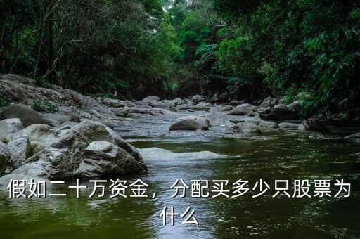 假如二十萬資金，分配買多少只股票為什么