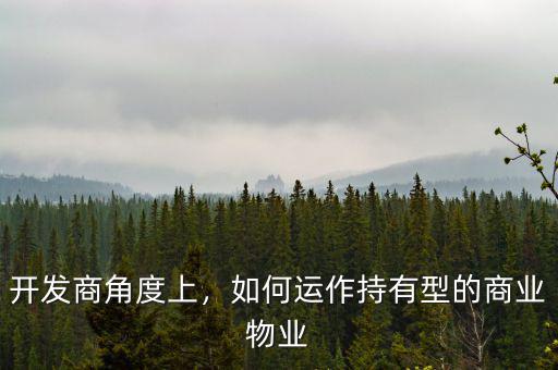 開發(fā)商角度上，如何運(yùn)作持有型的商業(yè)物業(yè)