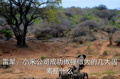 雷軍，小米公司成功做強(qiáng)做大的幾大因素是什么