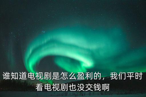 誰(shuí)知道電視劇是怎么盈利的，我們平時(shí)看電視劇也沒(méi)交錢啊