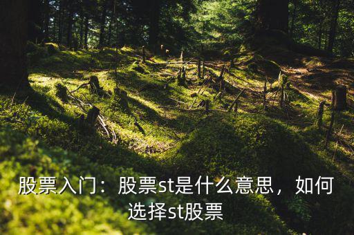 股票入門：股票st是什么意思，如何選擇st股票