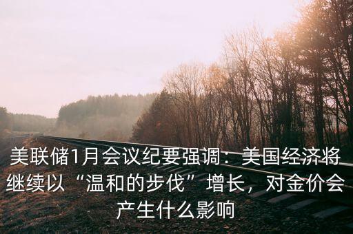美聯(lián)儲(chǔ)1月會(huì)議紀(jì)要強(qiáng)調(diào)：美國(guó)經(jīng)濟(jì)將繼續(xù)以“溫和的步伐”增長(zhǎng)，對(duì)金價(jià)會(huì)產(chǎn)生什么影響