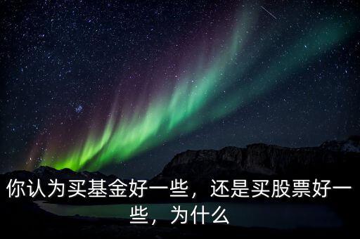 你認(rèn)為買基金好一些，還是買股票好一些，為什么