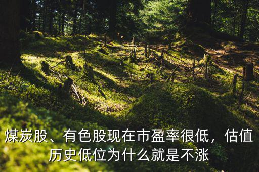煤炭股、有色股現(xiàn)在市盈率很低，估值歷史低位為什么就是不漲