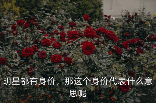 明星都有身價，那這個身價代表什么意思呢