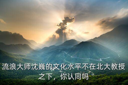 流浪大師沈巍的文化水平不在北大教授之下，你認(rèn)同嗎