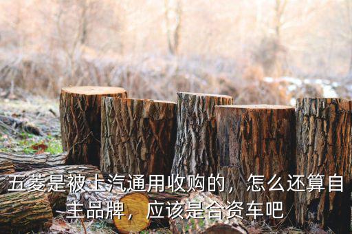 五菱是被上汽通用收購的，怎么還算自主品牌，應(yīng)該是合資車吧