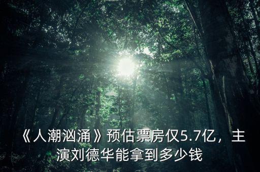 《人潮洶涌》預(yù)估票房僅5.7億，主演劉德華能拿到多少錢
