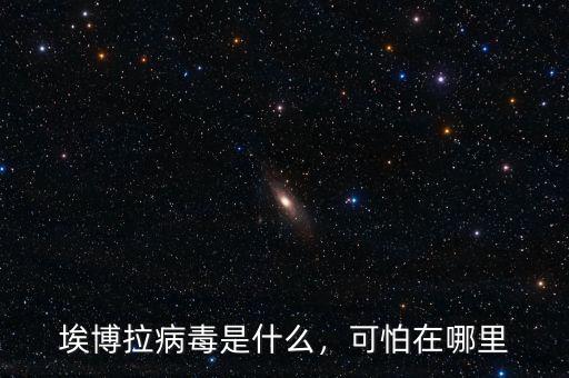 埃博拉病毒是什么，可怕在哪里
