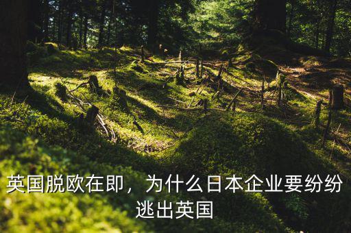英國(guó)脫歐在即，為什么日本企業(yè)要紛紛逃出英國(guó)