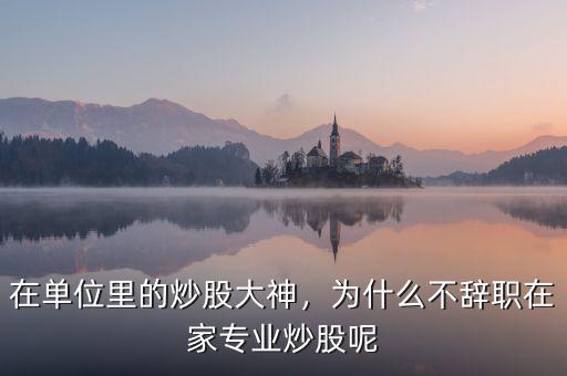 為什么要辭職炒股,為什么不辭職在家專(zhuān)業(yè)炒股呢