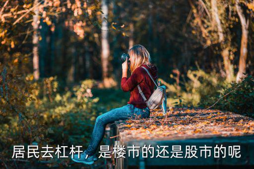 居民去杠桿，是樓市的還是股市的呢