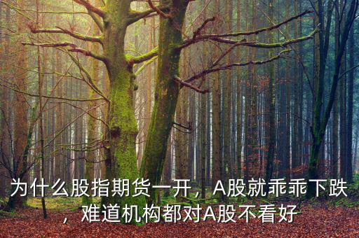 為什么股指期貨一開，A股就乖乖下跌，難道機(jī)構(gòu)都對A股不看好