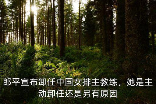 郎平宣布卸任中國女排主教練，她是主動(dòng)卸任還是另有原因