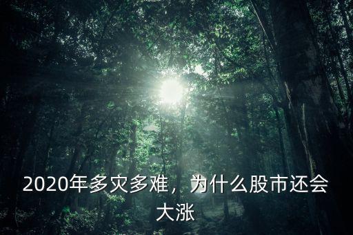 2020年多災(zāi)多難，為什么股市還會(huì)大漲