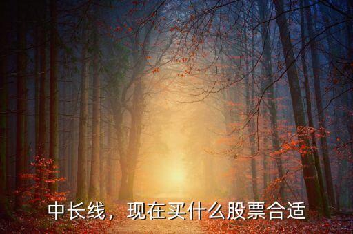 中長(zhǎng)線，現(xiàn)在買什么股票合適