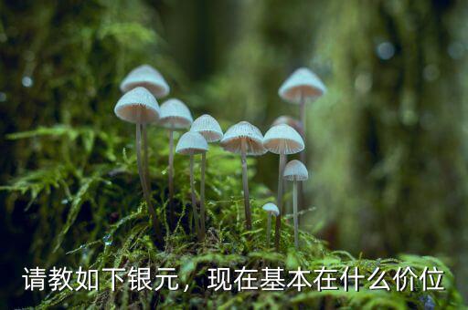 請(qǐng)教如下銀元，現(xiàn)在基本在什么價(jià)位