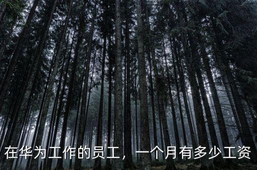 在華為工作的員工，一個(gè)月有多少工資