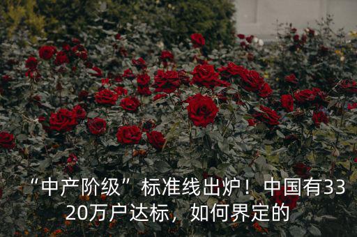 “中產(chǎn)階級(jí)”標(biāo)準(zhǔn)線出爐！中國(guó)有3320萬(wàn)戶達(dá)標(biāo)，如何界定的