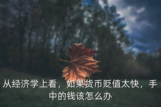 從經(jīng)濟學上看，如果貨幣貶值太快，手中的錢該怎么辦