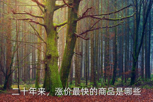 二十年來(lái)，漲價(jià)最快的商品是哪些