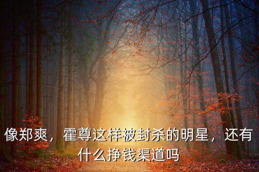像鄭爽，霍尊這樣被封殺的明星，還有什么掙錢渠道嗎