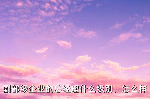 副部級企業(yè)的總經(jīng)理什么級別，怎么樣