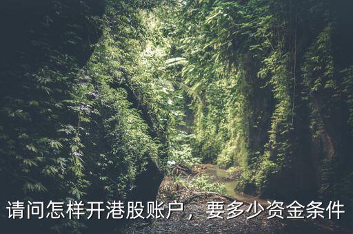 請(qǐng)問怎樣開港股賬戶，要多少資金條件