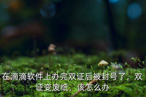 在滴滴軟件上辦完雙證后被封號了，雙證變廢紙，該怎么辦