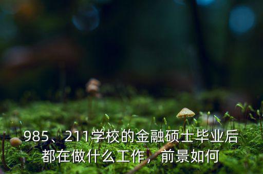 985、211學(xué)校的金融碩士畢業(yè)后都在做什么工作，前景如何