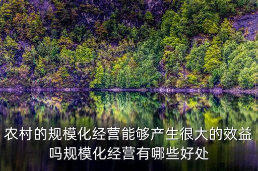 農(nóng)村的規(guī)?；?jīng)營(yíng)能夠產(chǎn)生很大的效益嗎規(guī)?；?jīng)營(yíng)有哪些好處
