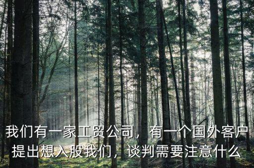 我們有一家工貿(mào)公司，有一個國外客戶提出想入股我們，談判需要注意什么