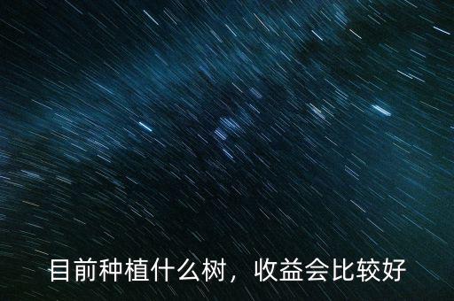 目前種植什么樹，收益會比較好