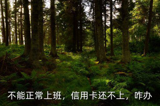 不能正常上班，信用卡還不上，咋辦