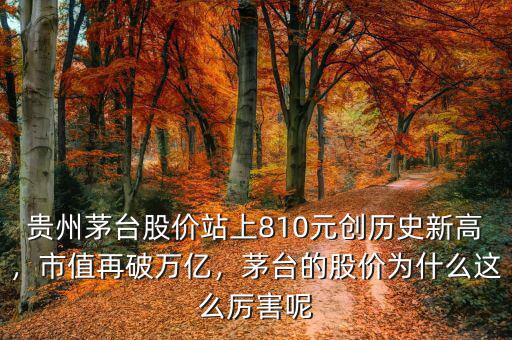 貴州茅臺(tái)股價(jià)站上810元?jiǎng)?chuàng)歷史新高，市值再破萬億，茅臺(tái)的股價(jià)為什么這么厲害呢