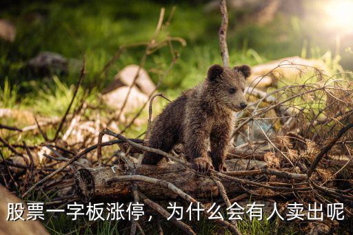 股票一字板漲停，為什么會有人賣出呢