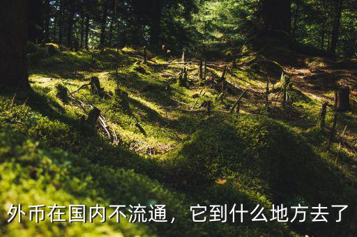外幣在國(guó)內(nèi)不流通，它到什么地方去了