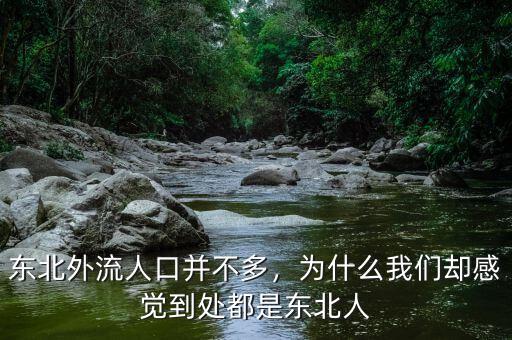 東北外流人口并不多，為什么我們卻感覺到處都是東北人