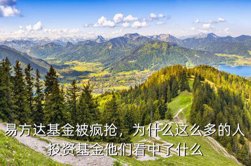 易方達(dá)基金被瘋搶，為什么這么多的人投資基金他們看中了什么