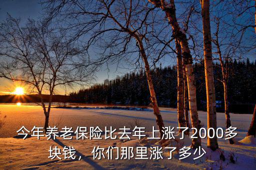 今年養(yǎng)老保險(xiǎn)比去年上漲了2000多塊錢，你們那里漲了多少