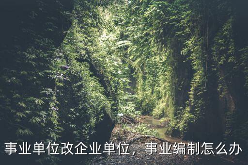事業(yè)單位改企業(yè)單位，事業(yè)編制怎么辦