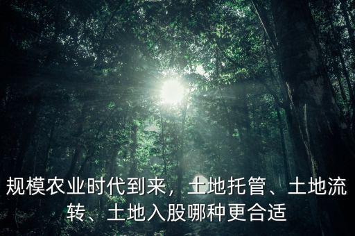 規(guī)模農(nóng)業(yè)時(shí)代到來(lái)，土地托管、土地流轉(zhuǎn)、土地入股哪種更合適