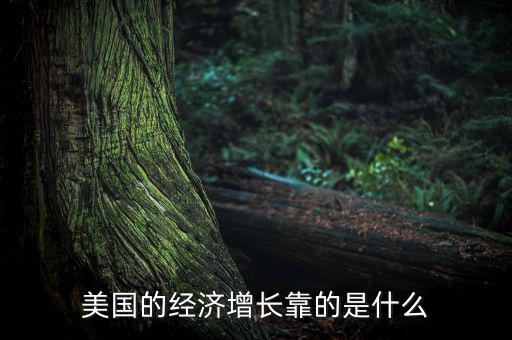 美國經濟模式是什么,美國的經濟增長靠的是什么