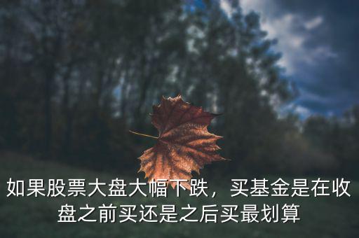 如果股票大盤大幅下跌，買基金是在收盤之前買還是之后買最劃算
