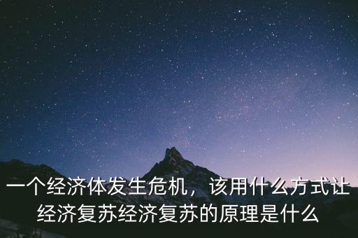 一個(gè)經(jīng)濟(jì)體發(fā)生危機(jī)，該用什么方式讓經(jīng)濟(jì)復(fù)蘇經(jīng)濟(jì)復(fù)蘇的原理是什么