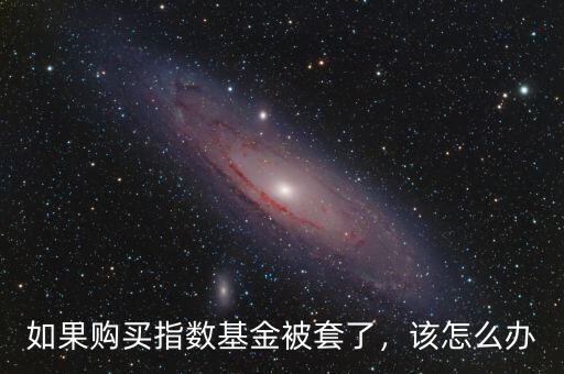如果購買指數(shù)基金被套了，該怎么辦