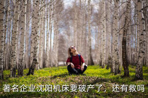 著名企業(yè)沈陽機床要破產(chǎn)了，還有救嗎