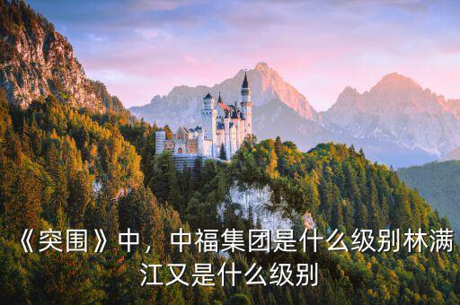 《突圍》中，中福集團是什么級別林滿江又是什么級別